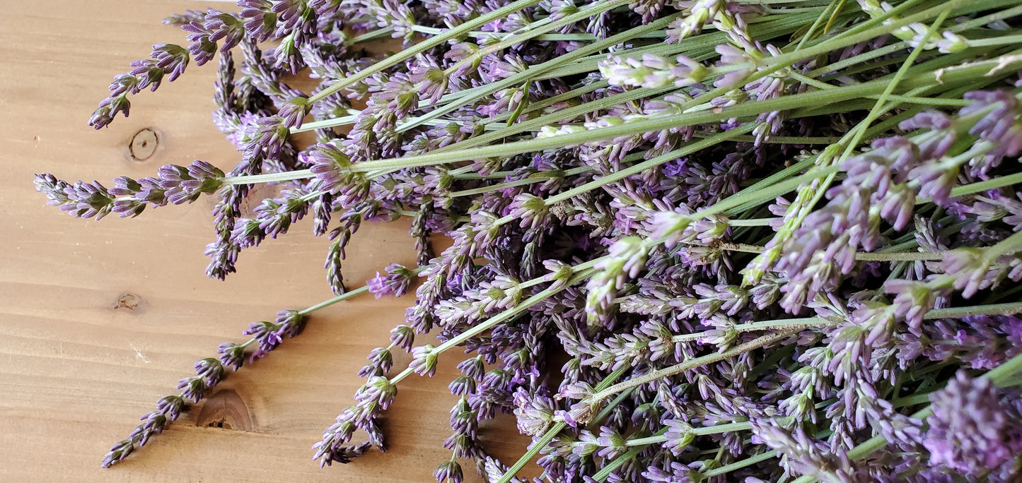 Fresh Lavender Bouquets | Seasonal Michigan Lavender Preorder