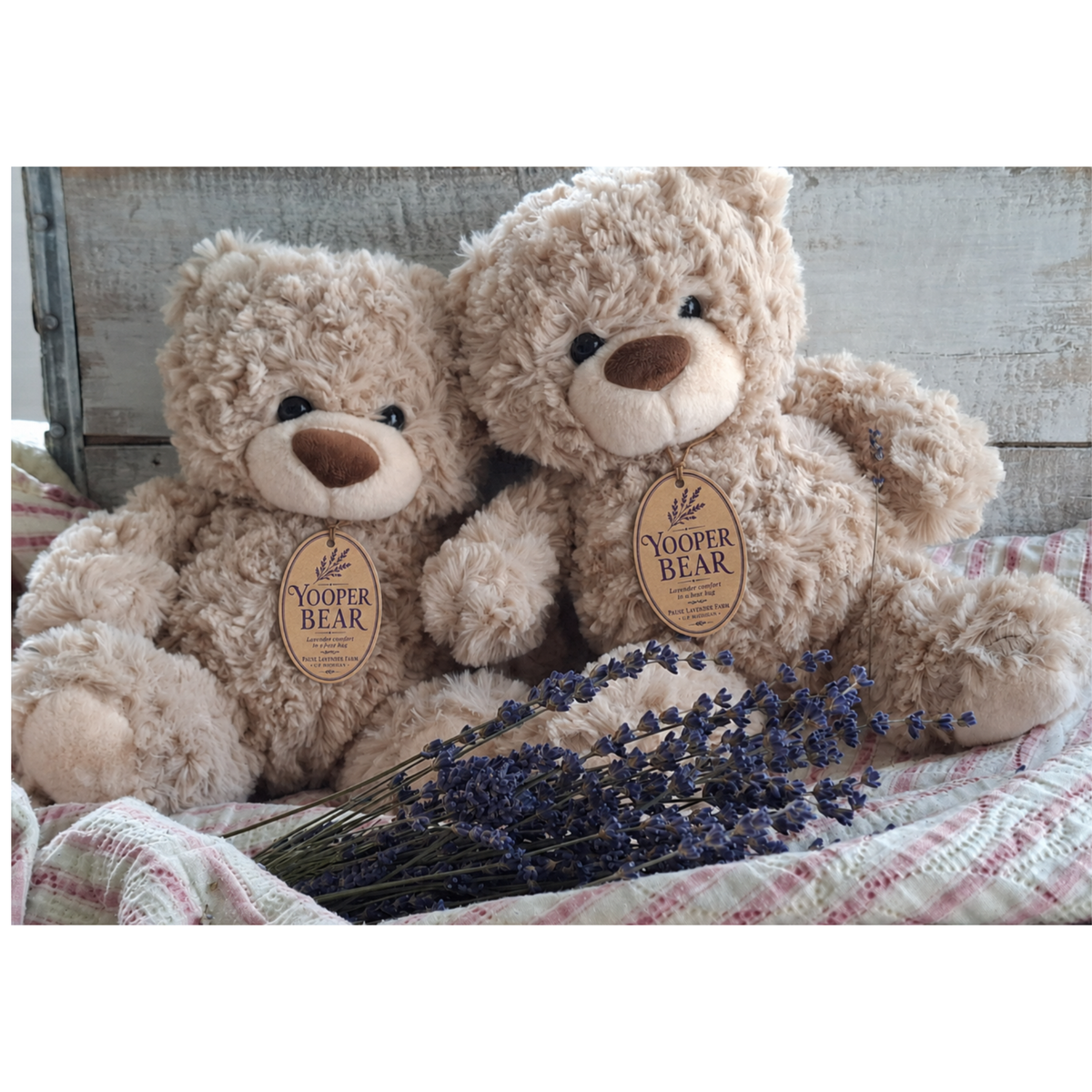 Yooper Bear™ - Lavender Comfort in a Bear Hug