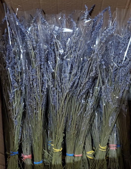 Dried lavender bouquets