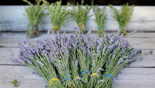 Pre-Order 2025 Fresh Lavender Bouquets