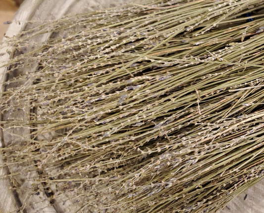 10 bundles - Fragrant lavender stems for campfire