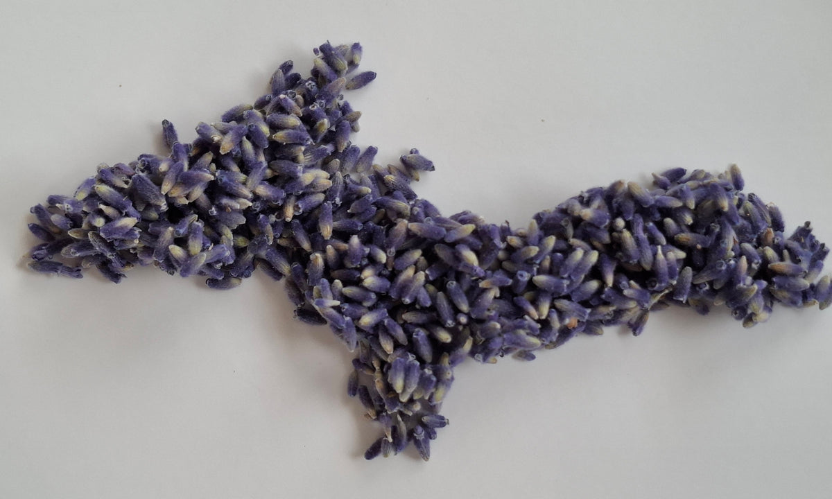 Pocket Pause – Farm-Grown Lavender Bottle