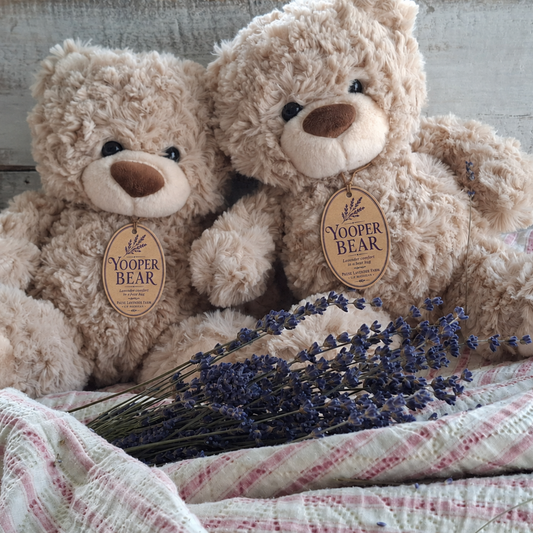 Yooper Bear™ - Lavender Comfort in a Bear Hug
