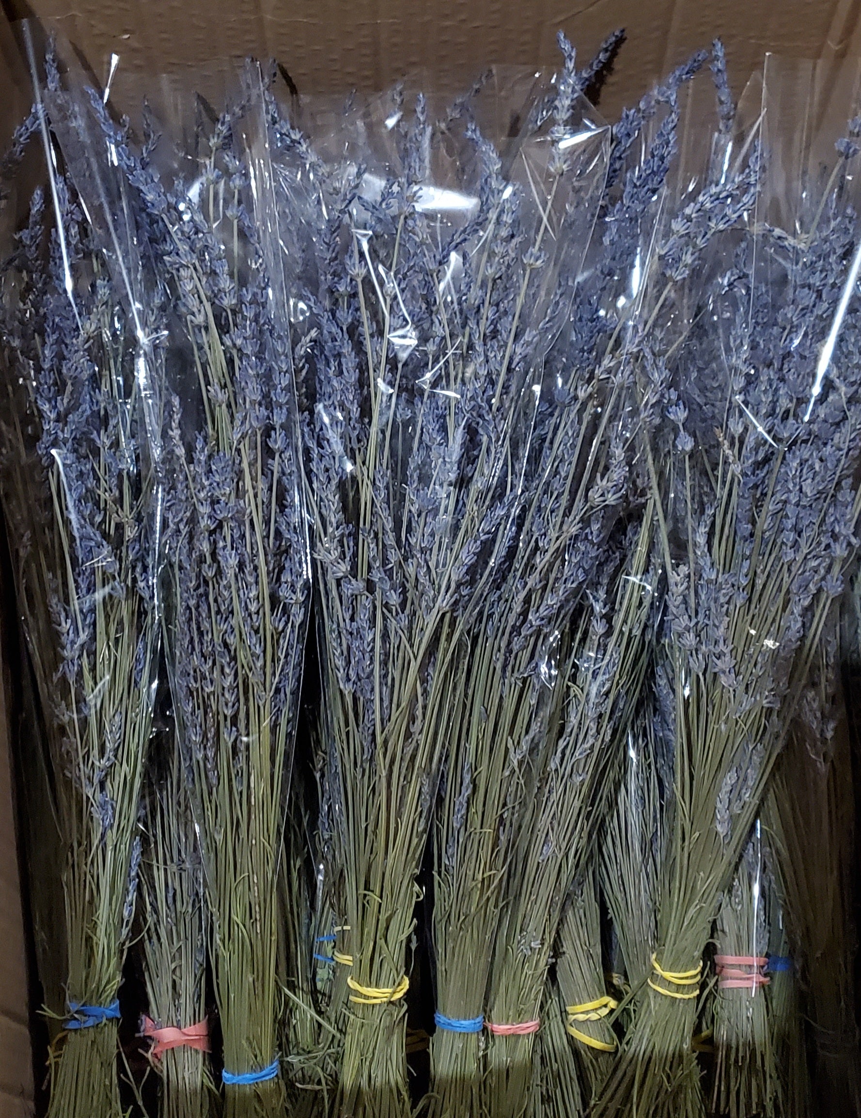 Dried lavender bouquets 